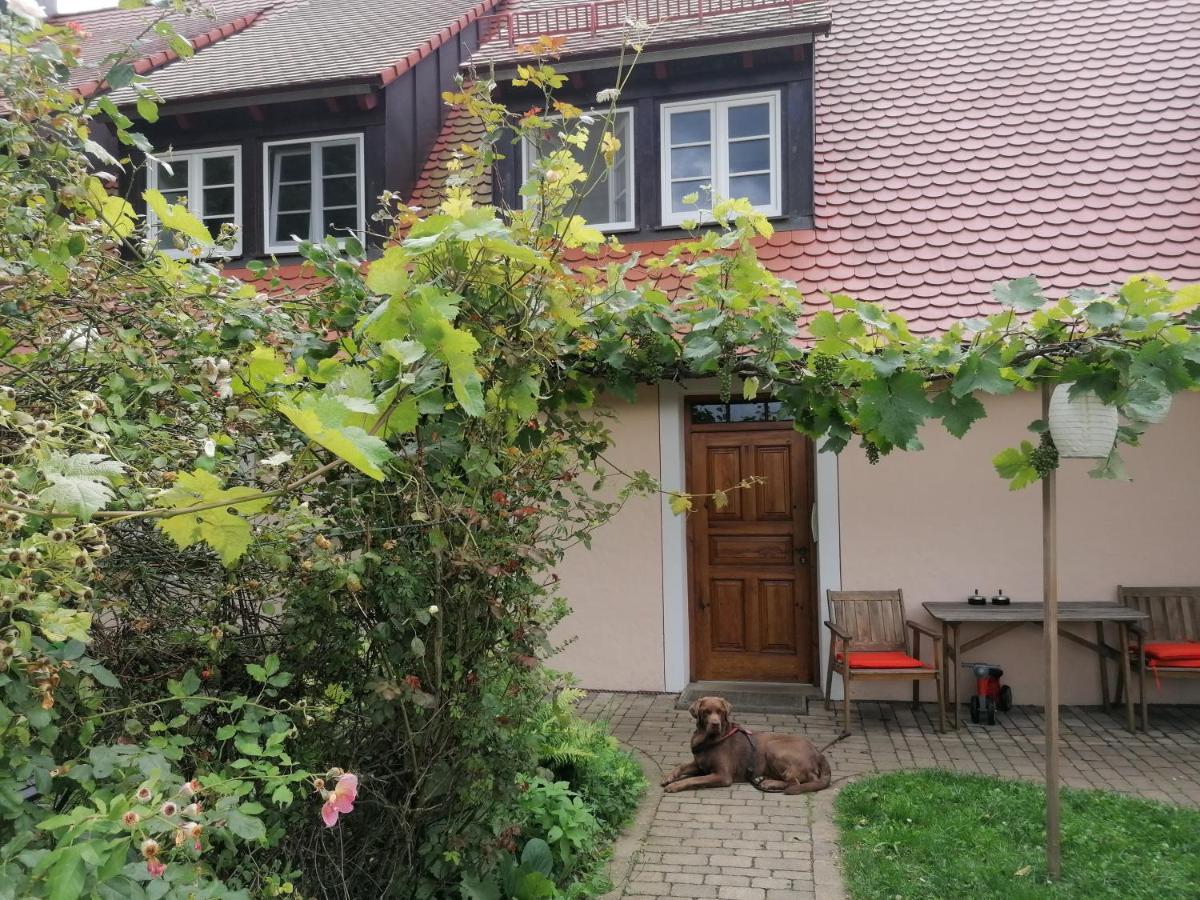 Ferienwohnungen Wastl Fraenkische Schweiz Hiltpoltstein Bagian luar foto